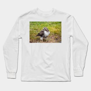 Watchful Red Tailed Hawk Long Sleeve T-Shirt